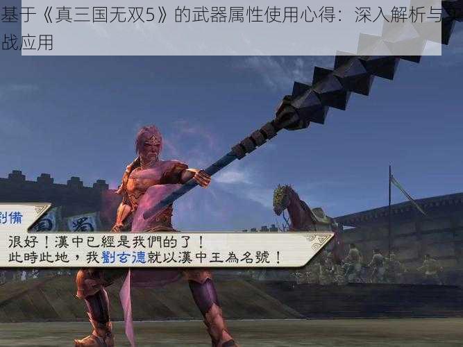 基于《真三国无双5》的武器属性使用心得:深入解析与实战应用