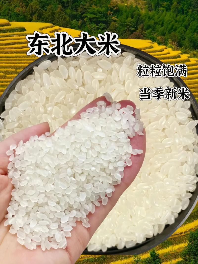 日本 xxxhd 优质大米,口感香糯,营养丰富