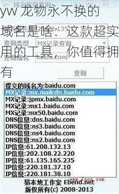yw 龙物永不换的域名是啥:这款超实用的工具,你值得拥有
