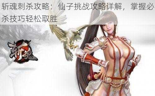 斩魂刺杀攻略:仙子挑战攻略详解,掌握必杀技巧轻松取胜