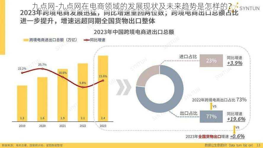 九点网-九点网在电商领域的发展现状及未来趋势是怎样的?